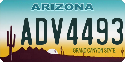 AZ license plate ADV4493