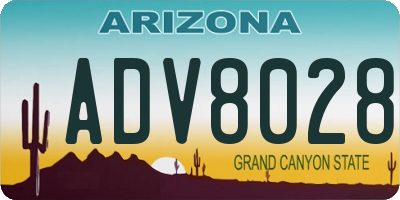 AZ license plate ADV8028
