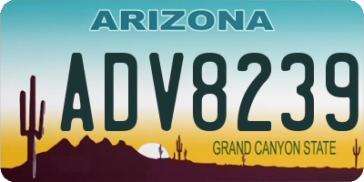 AZ license plate ADV8239