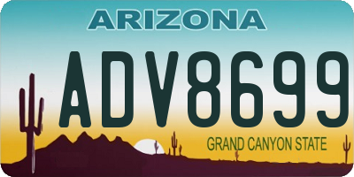 AZ license plate ADV8699