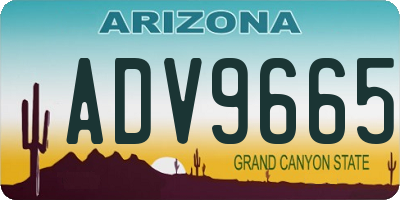 AZ license plate ADV9665