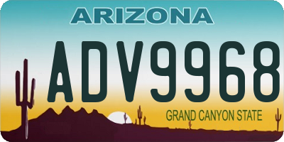 AZ license plate ADV9968