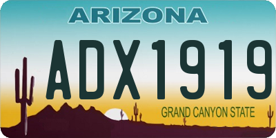 AZ license plate ADX1919