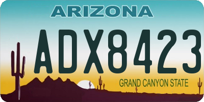 AZ license plate ADX8423