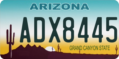 AZ license plate ADX8445