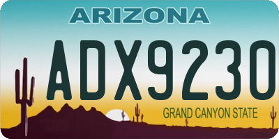 AZ license plate ADX9230