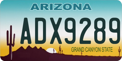 AZ license plate ADX9289