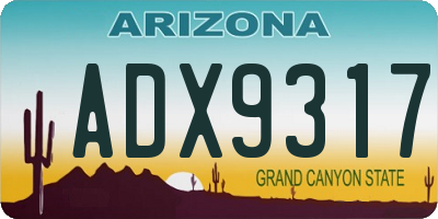 AZ license plate ADX9317