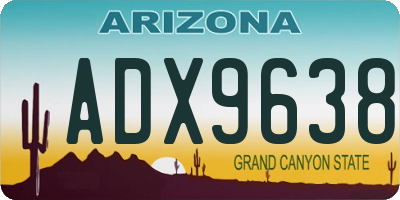 AZ license plate ADX9638