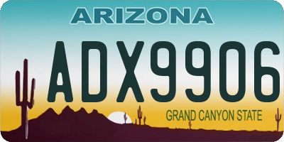 AZ license plate ADX9906
