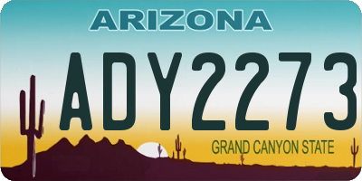 AZ license plate ADY2273