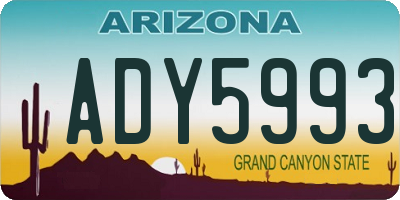 AZ license plate ADY5993