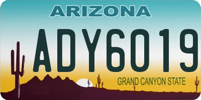 AZ license plate ADY6019