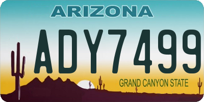 AZ license plate ADY7499