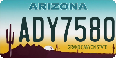 AZ license plate ADY7580