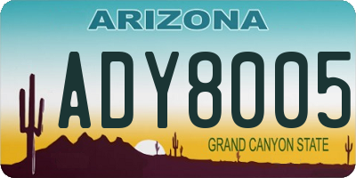 AZ license plate ADY8005