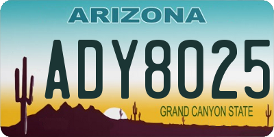 AZ license plate ADY8025