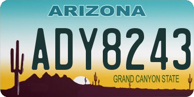 AZ license plate ADY8243