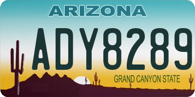 AZ license plate ADY8289