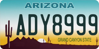 AZ license plate ADY8999