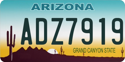 AZ license plate ADZ7919