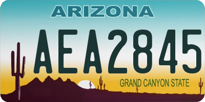 AZ license plate AEA2845