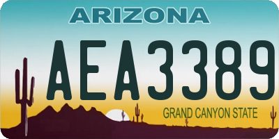 AZ license plate AEA3389