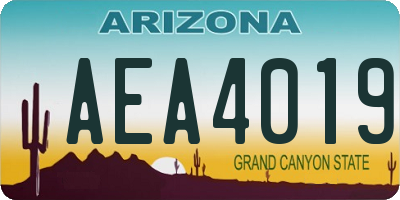 AZ license plate AEA4019