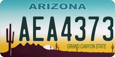 AZ license plate AEA4373