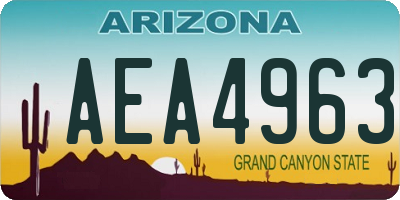 AZ license plate AEA4963