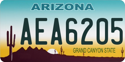 AZ license plate AEA6205