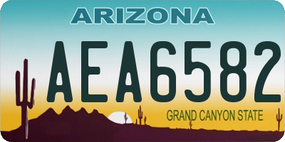 AZ license plate AEA6582