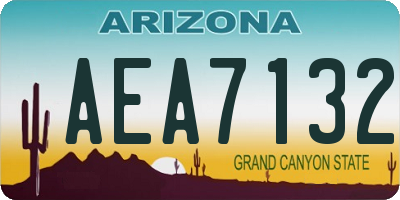 AZ license plate AEA7132