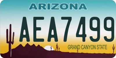 AZ license plate AEA7499