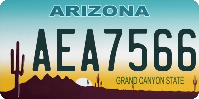 AZ license plate AEA7566