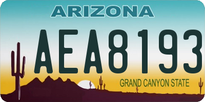 AZ license plate AEA8193