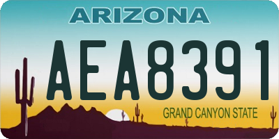 AZ license plate AEA8391