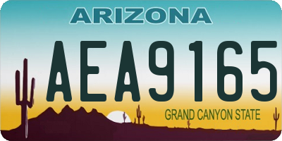 AZ license plate AEA9165