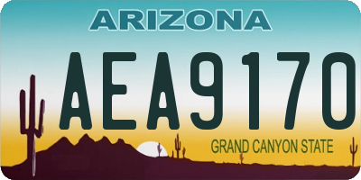 AZ license plate AEA9170