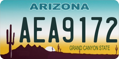 AZ license plate AEA9172