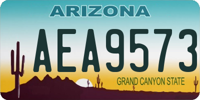 AZ license plate AEA9573