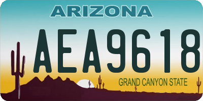 AZ license plate AEA9618
