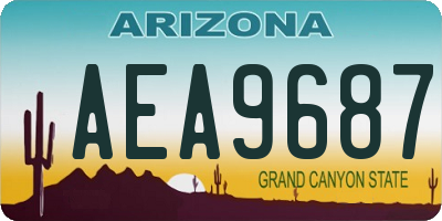 AZ license plate AEA9687