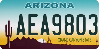 AZ license plate AEA9803
