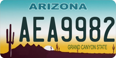 AZ license plate AEA9982