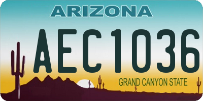 AZ license plate AEC1036