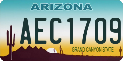 AZ license plate AEC1709
