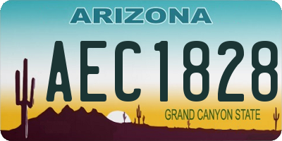AZ license plate AEC1828