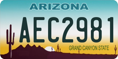 AZ license plate AEC2981