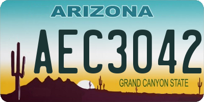 AZ license plate AEC3042